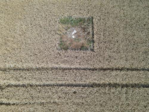 DJI_3592.JPG